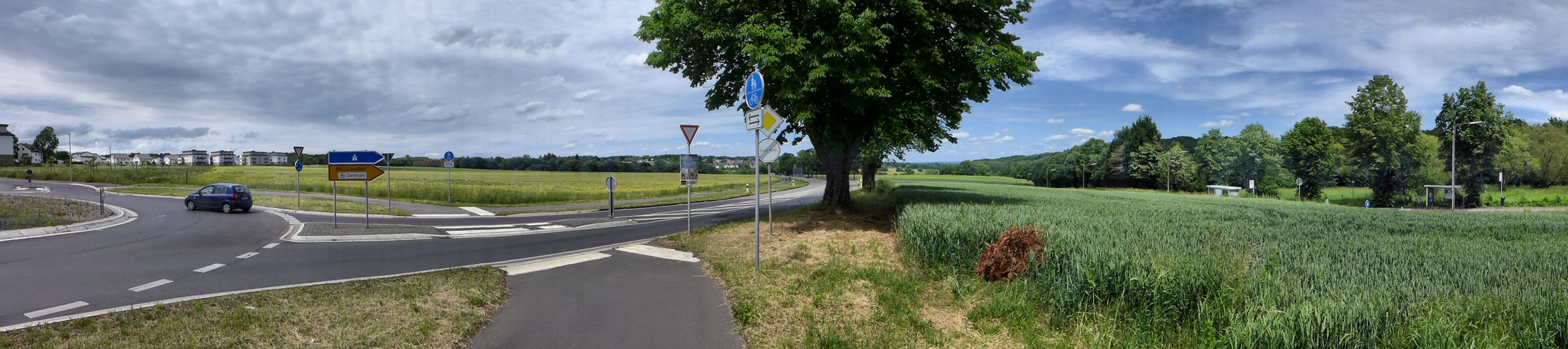 Bonn auf der Höhe