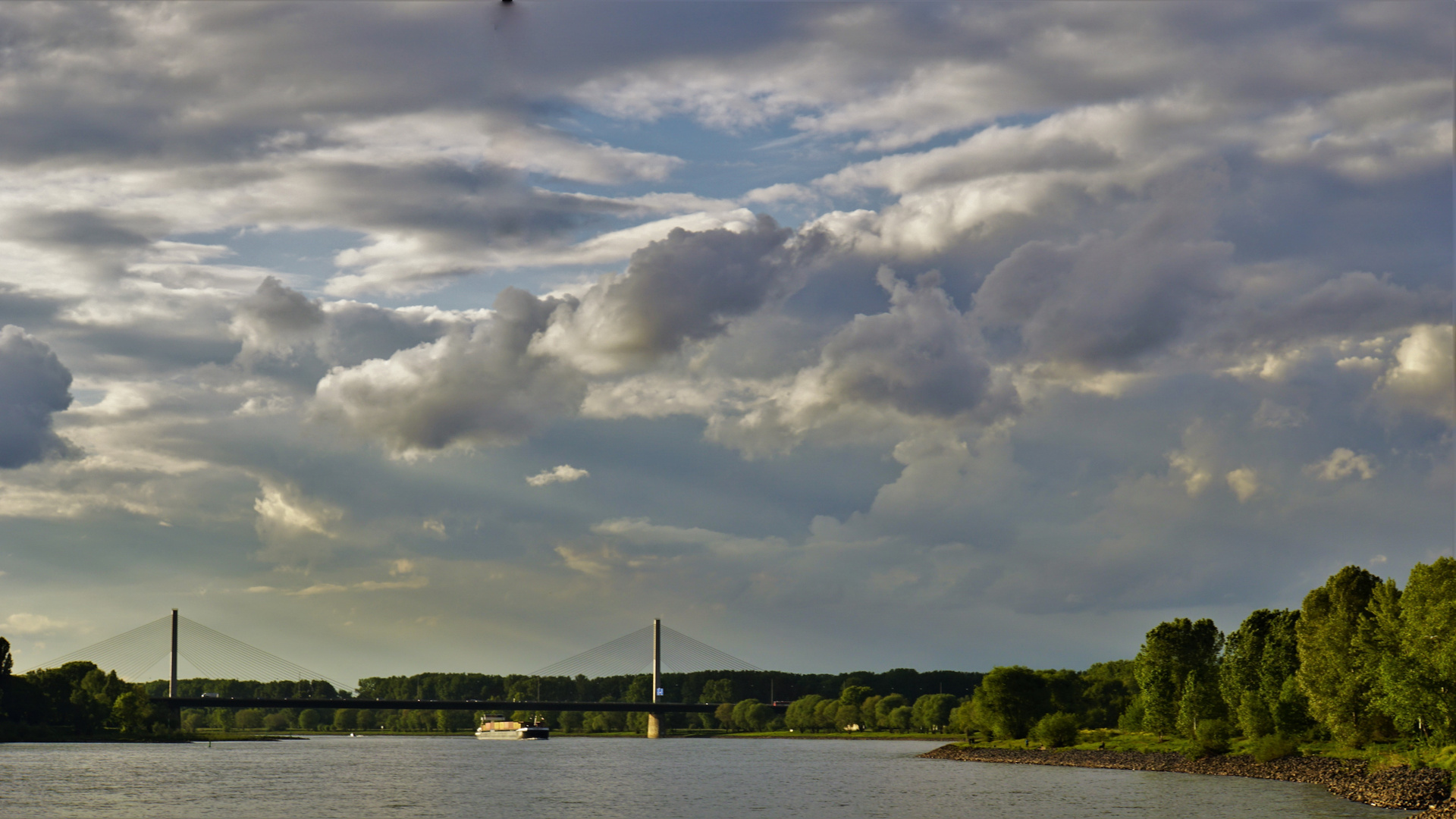 Bonn Friedrich-Ebert-Brücke nach dem Regen