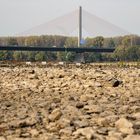 Bonn Friedrich-Ebert-Brücke Niedrigwasser