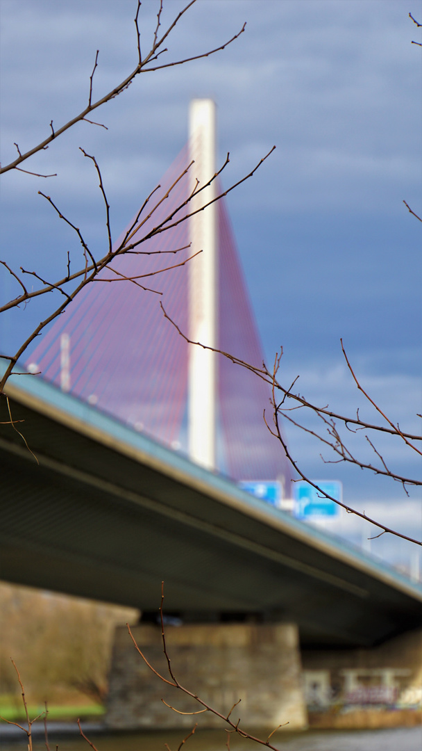 Bonn Friedrich-Ebert-Brücke_3