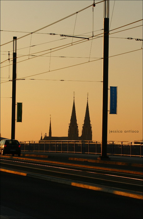 Bonn im Abendlicht