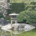 Bonn - Japanischer Garten 1