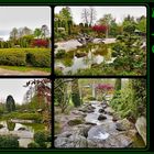 Bonn - Japanischer Garten