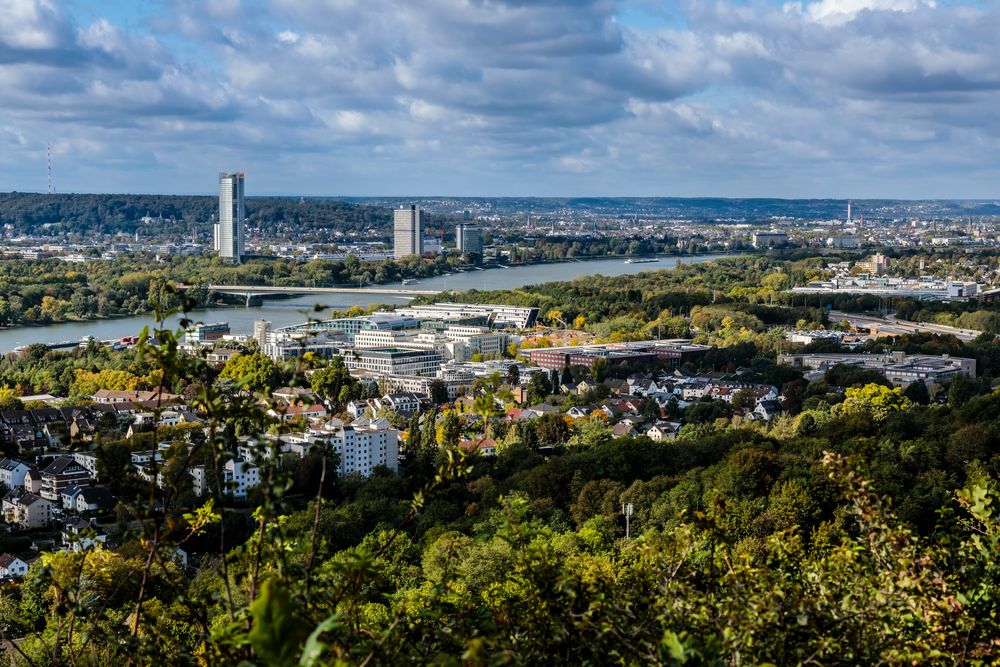 Bonn-Panorama