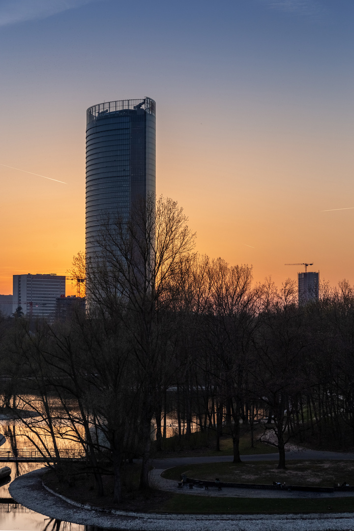 Bonn: Post Tower und Rheinaue im Sonnenuntergang