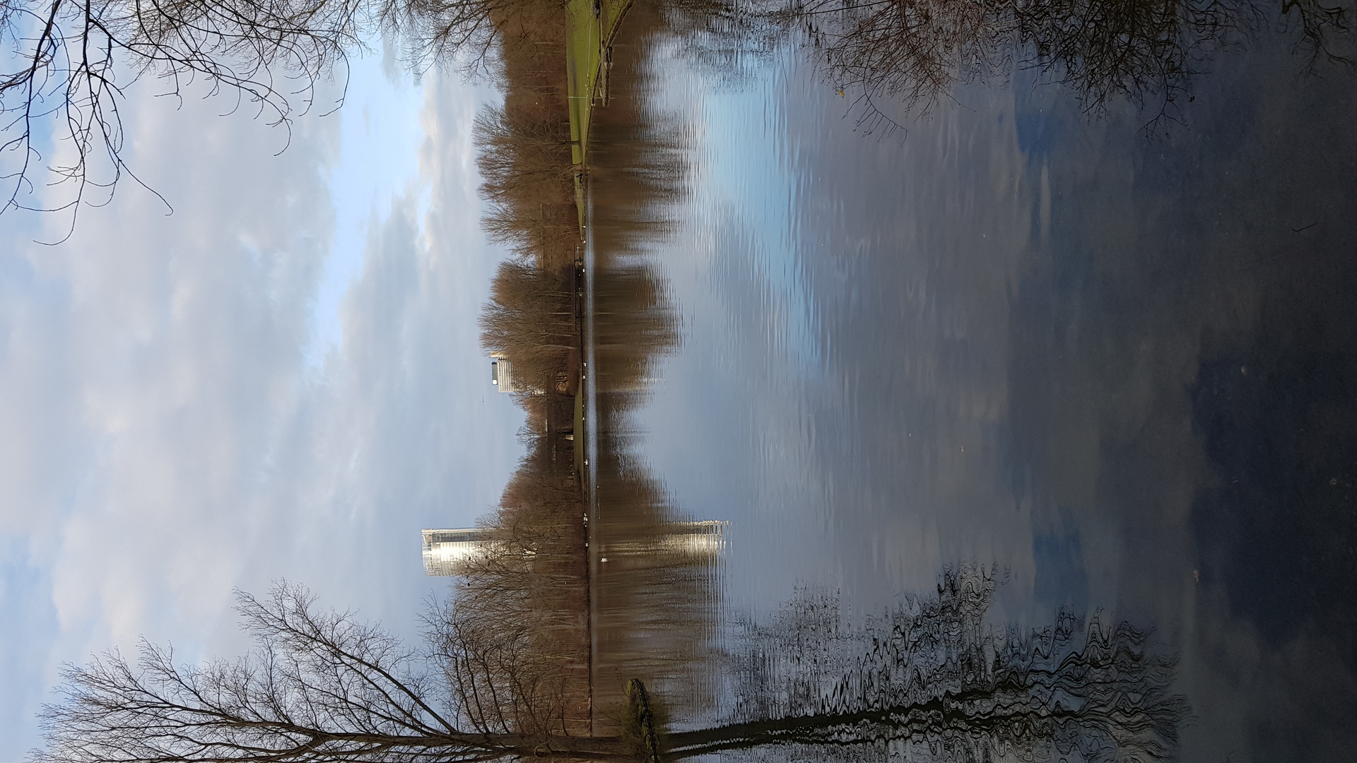 Bonn Posttower Rheinaue