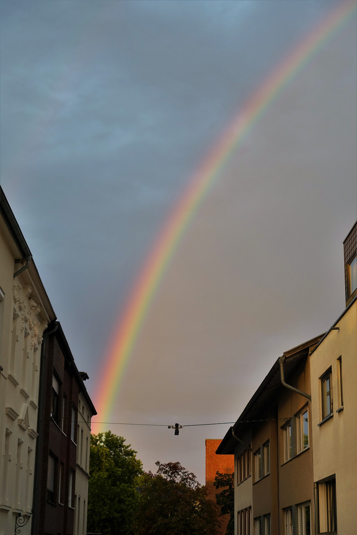 Bonn Regenbogen_1