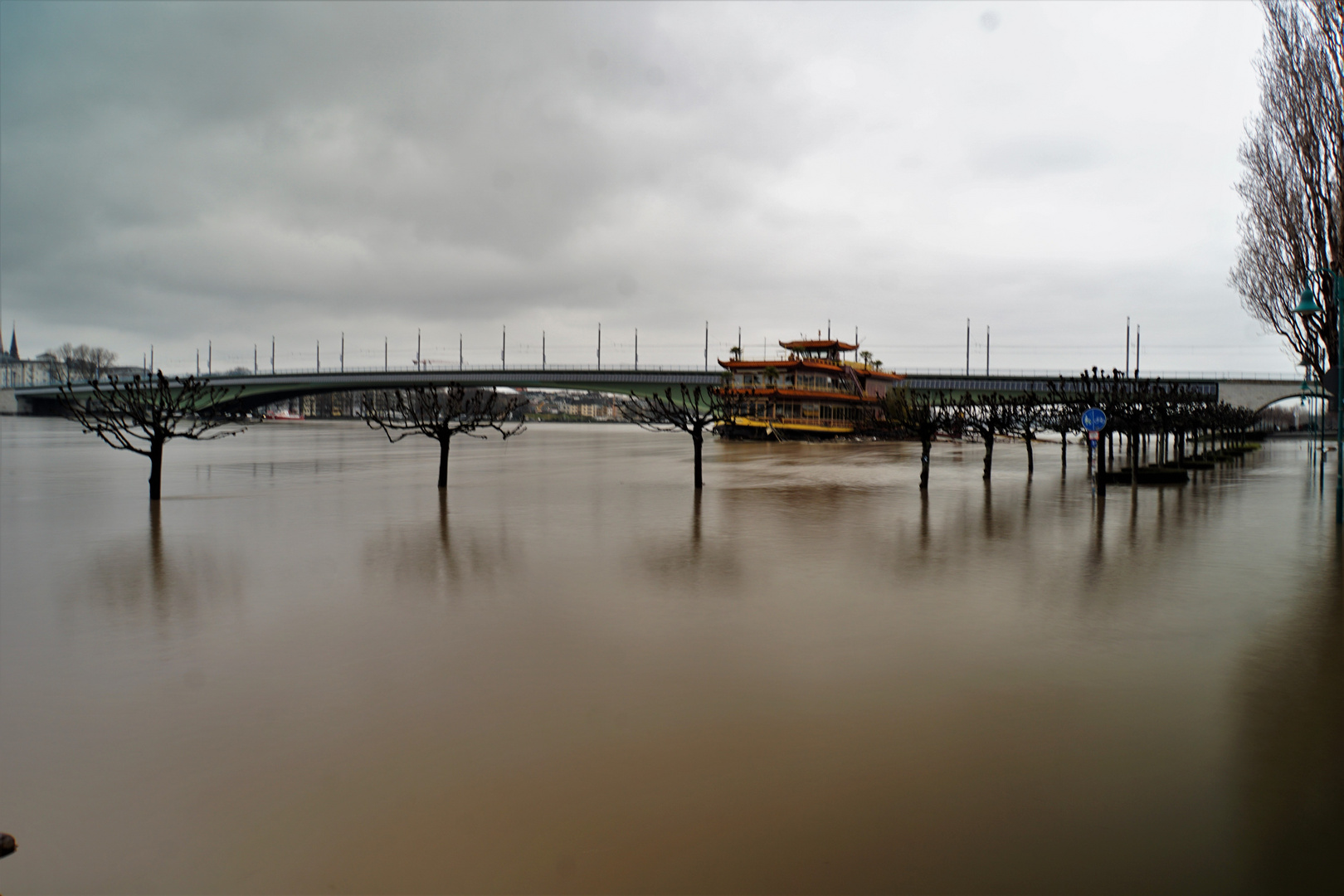 Bonn Rhein - Hochwasser