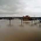 Bonn Rhein - Hochwasser