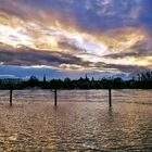 Bonn Rhein - Hochwasser 