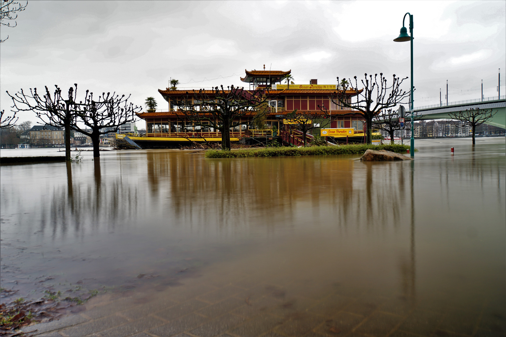 Bonn Rhein - Hochwasser