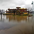 Bonn Rhein - Hochwasser