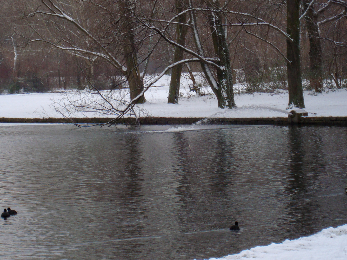 Bonn Rheinaue BUGA 1979