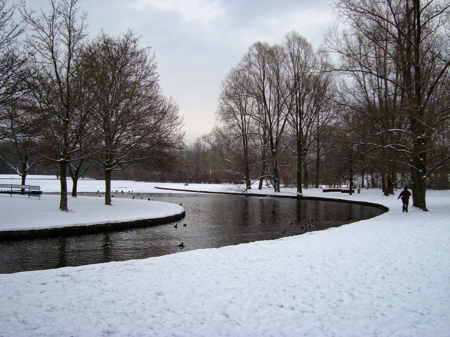 Bonn Rheinaue BUGA 1979