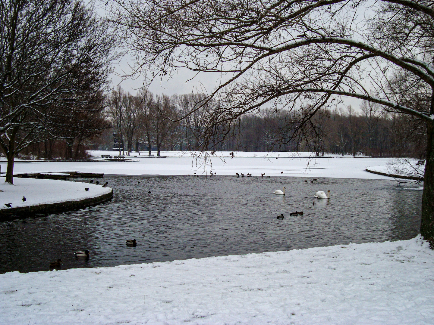 Bonn Rheinaue BUGA 1979