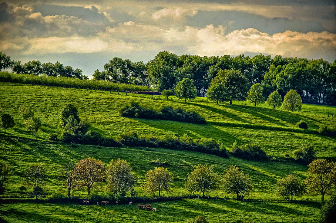 Bonn, Rodderberg, nach der Regenfront