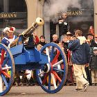 Bonn Rosenmontagszug 2014 ( 02 )