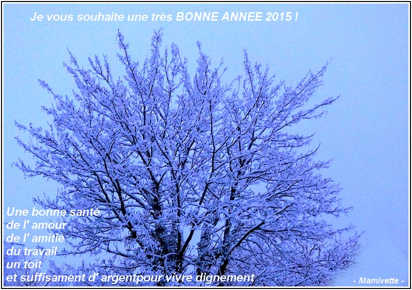 BONNE ANNÉE 2015 du Cotentin