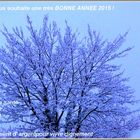 BONNE ANNÉE 2015 du Cotentin