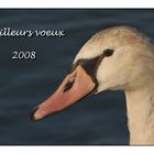 Bonne année 2008