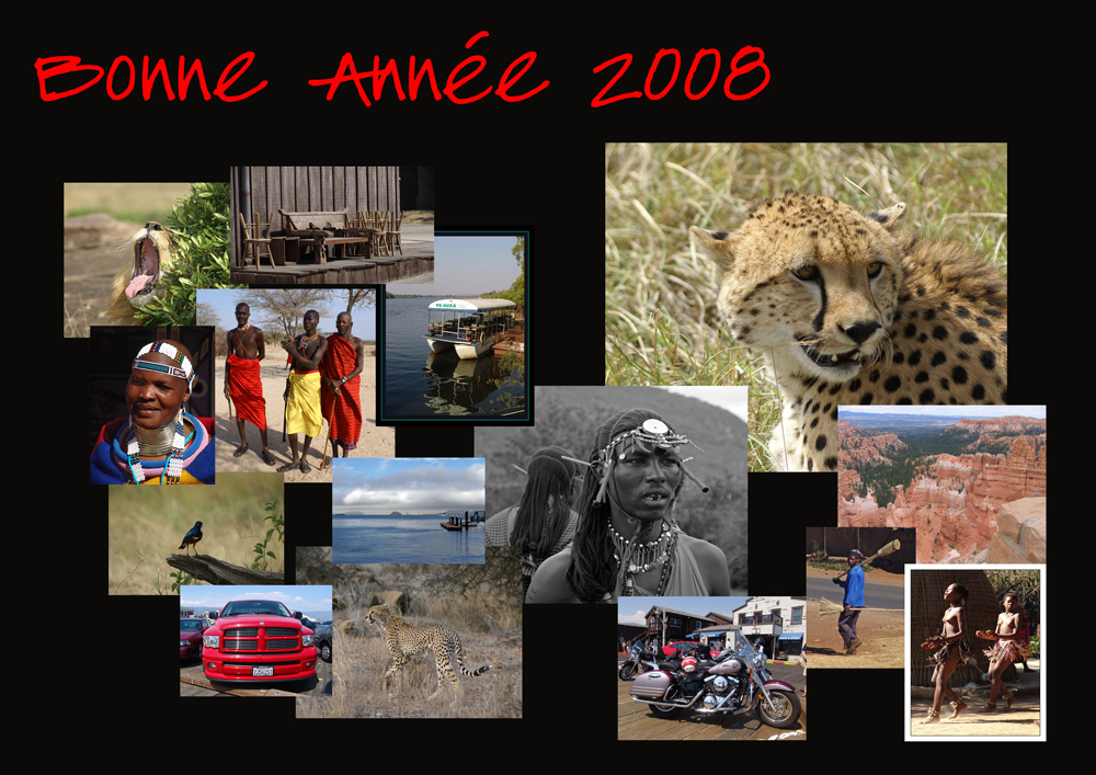 Bonne Année 2008