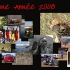 Bonne Année 2008