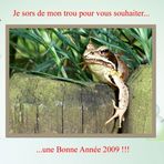 Bonne Année 2009