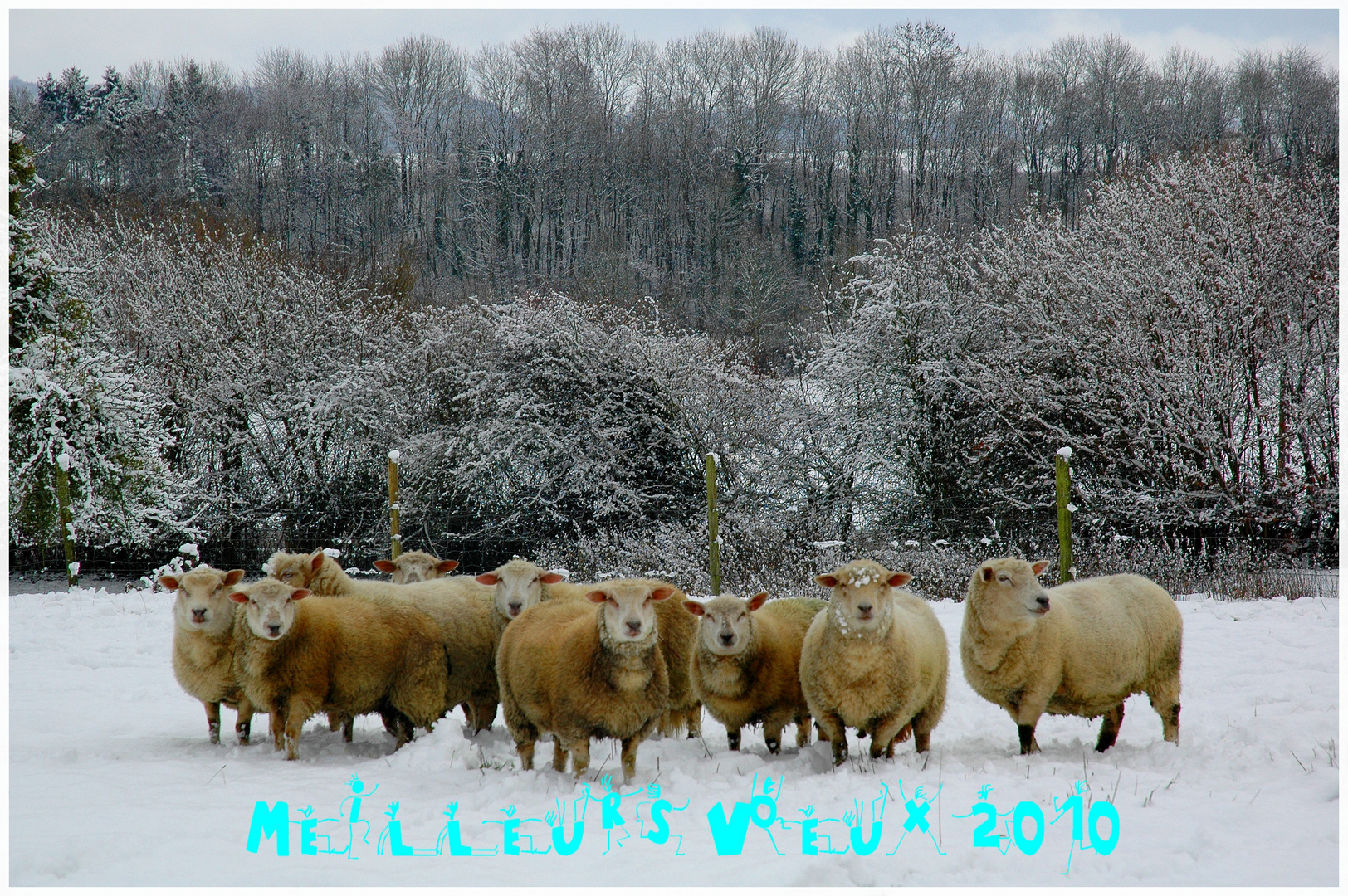 Bonne année 2010 de Normandie