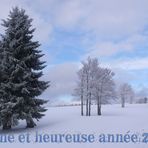 Bonne Année 2011