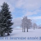 Bonne Année 2011