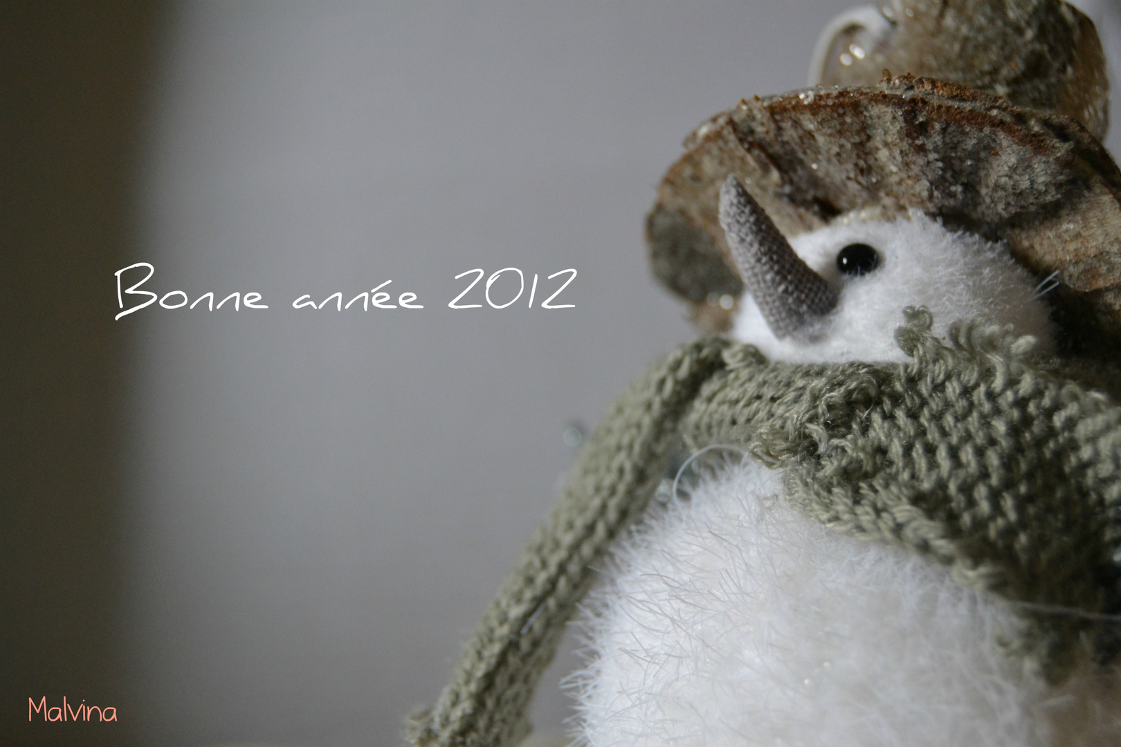 Bonne année 2012 à tous