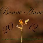 Bonne Année 2012