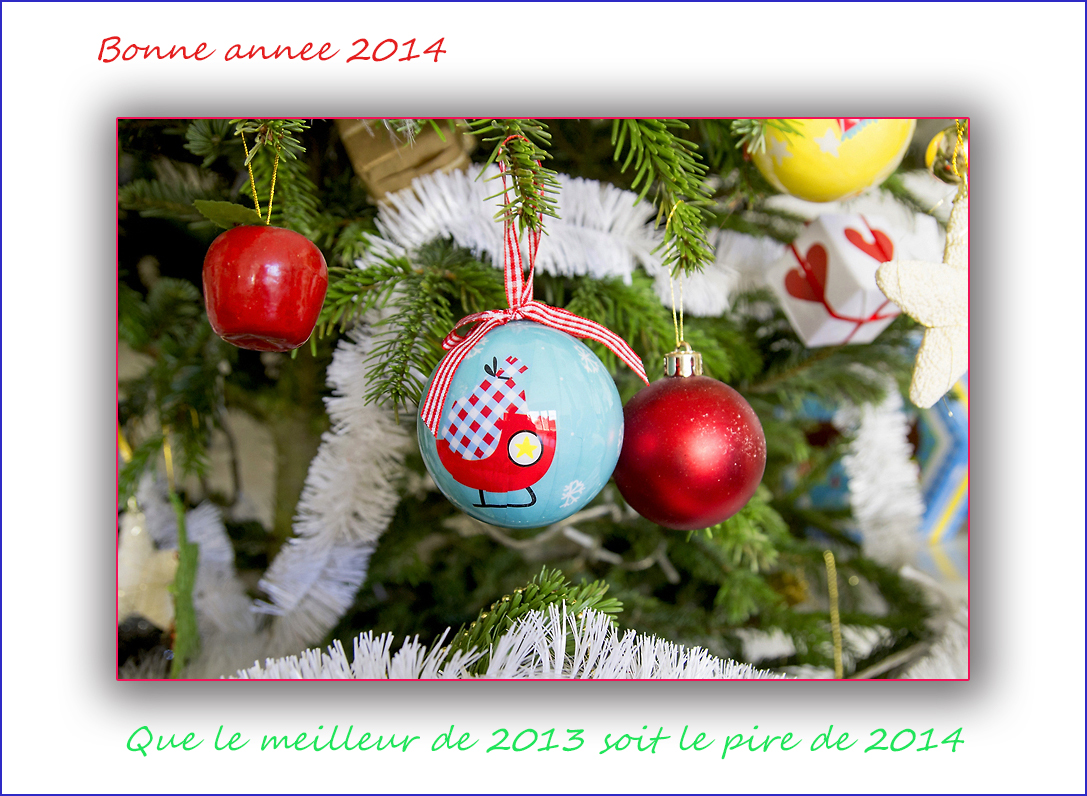 Bonne année 2014