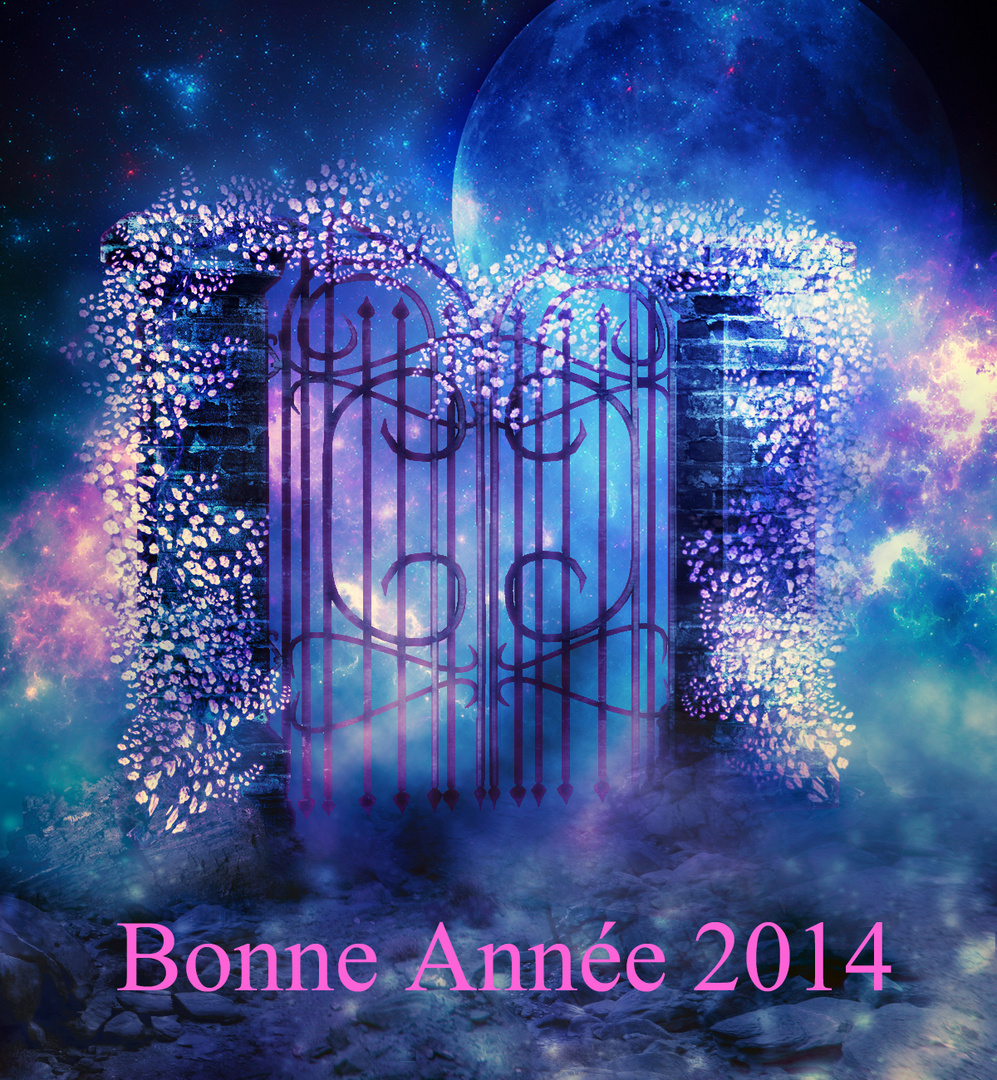 Bonne Année 2014