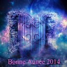 Bonne Année 2014