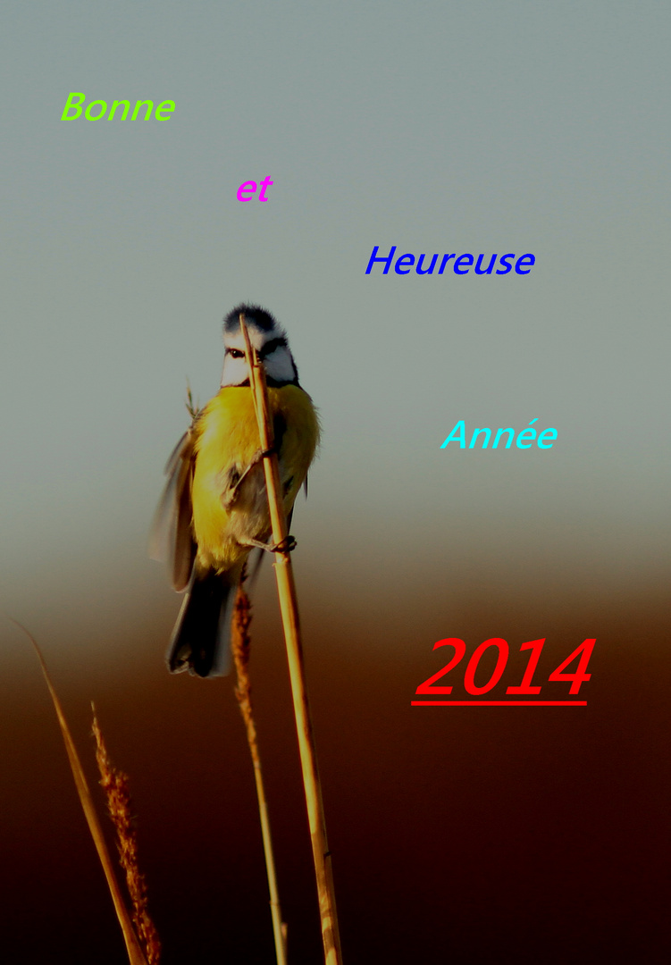 Bonne Année 2014