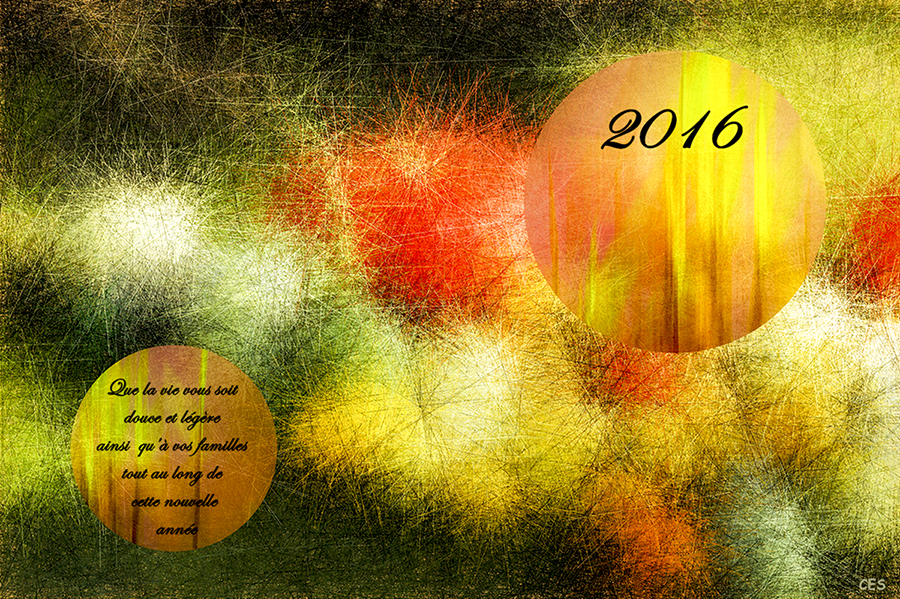 BONNE ANNEE 2016