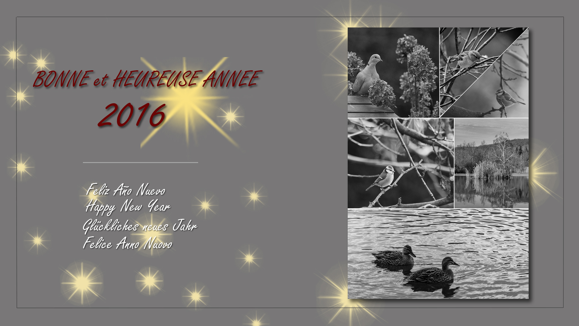 Bonne année 2016