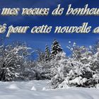 Bonne Année 2017