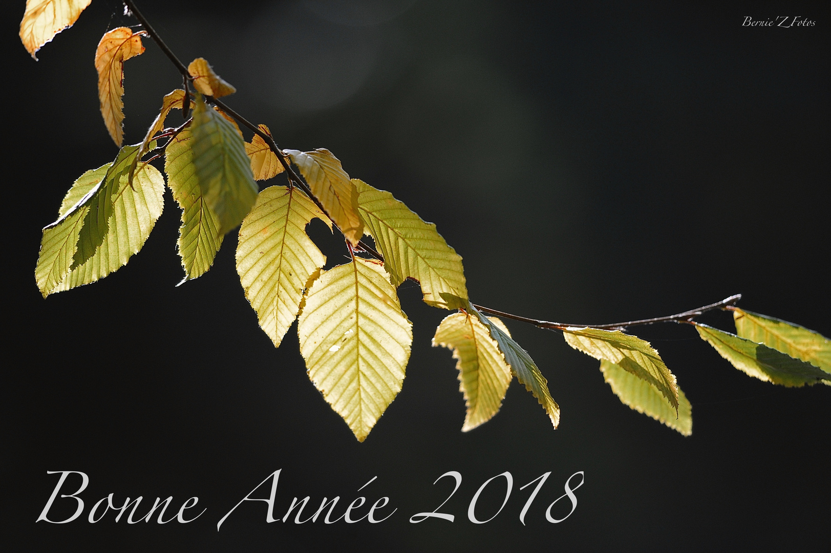 Bonne Année 2018