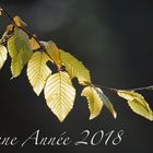 Bonne Année 2018