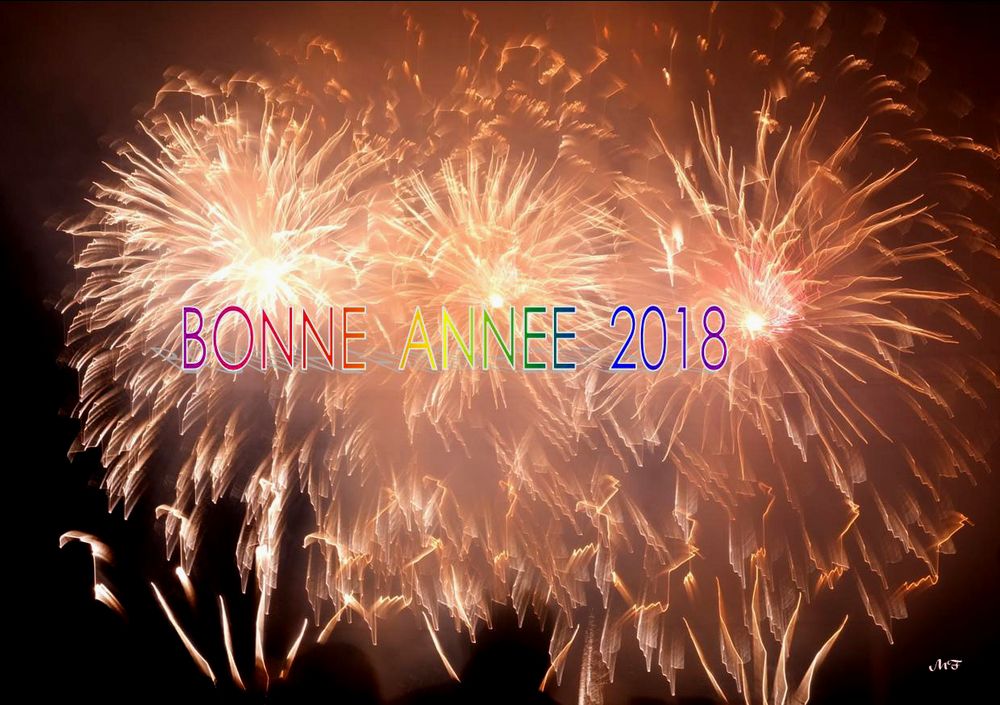 Bonne Année 2018