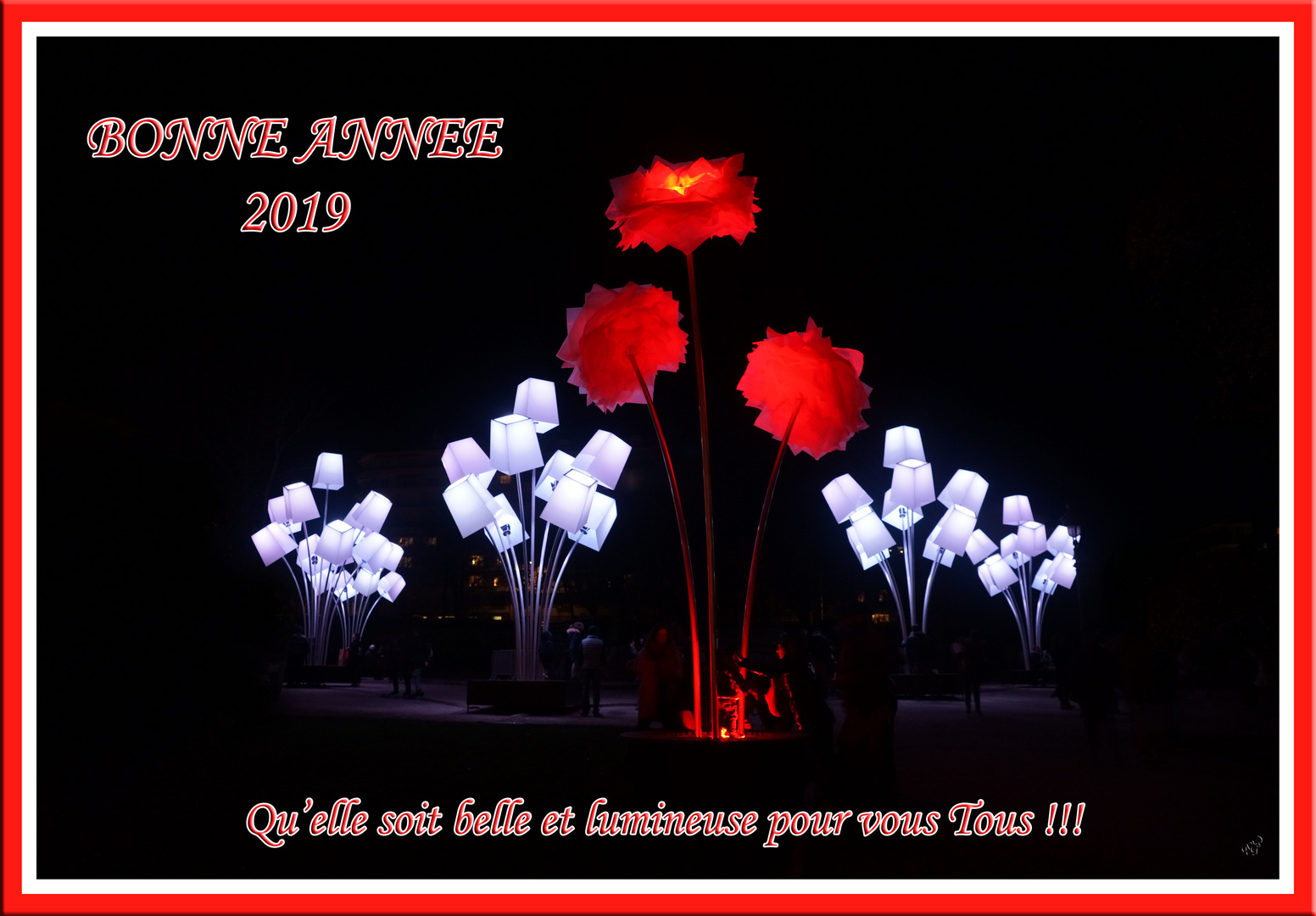 BONNE ANNEE 2019