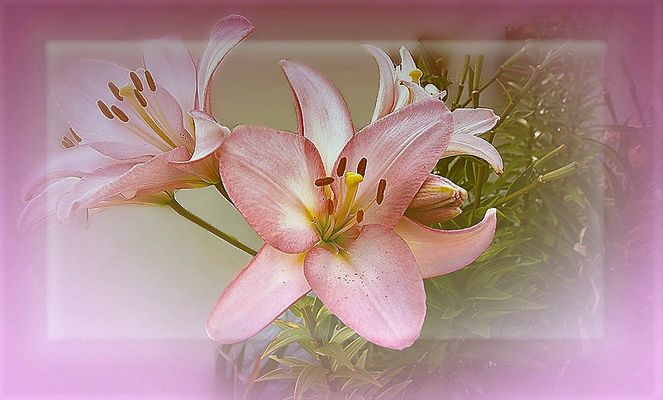 ...Bonne année 2020...