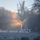 Bonne année 2023