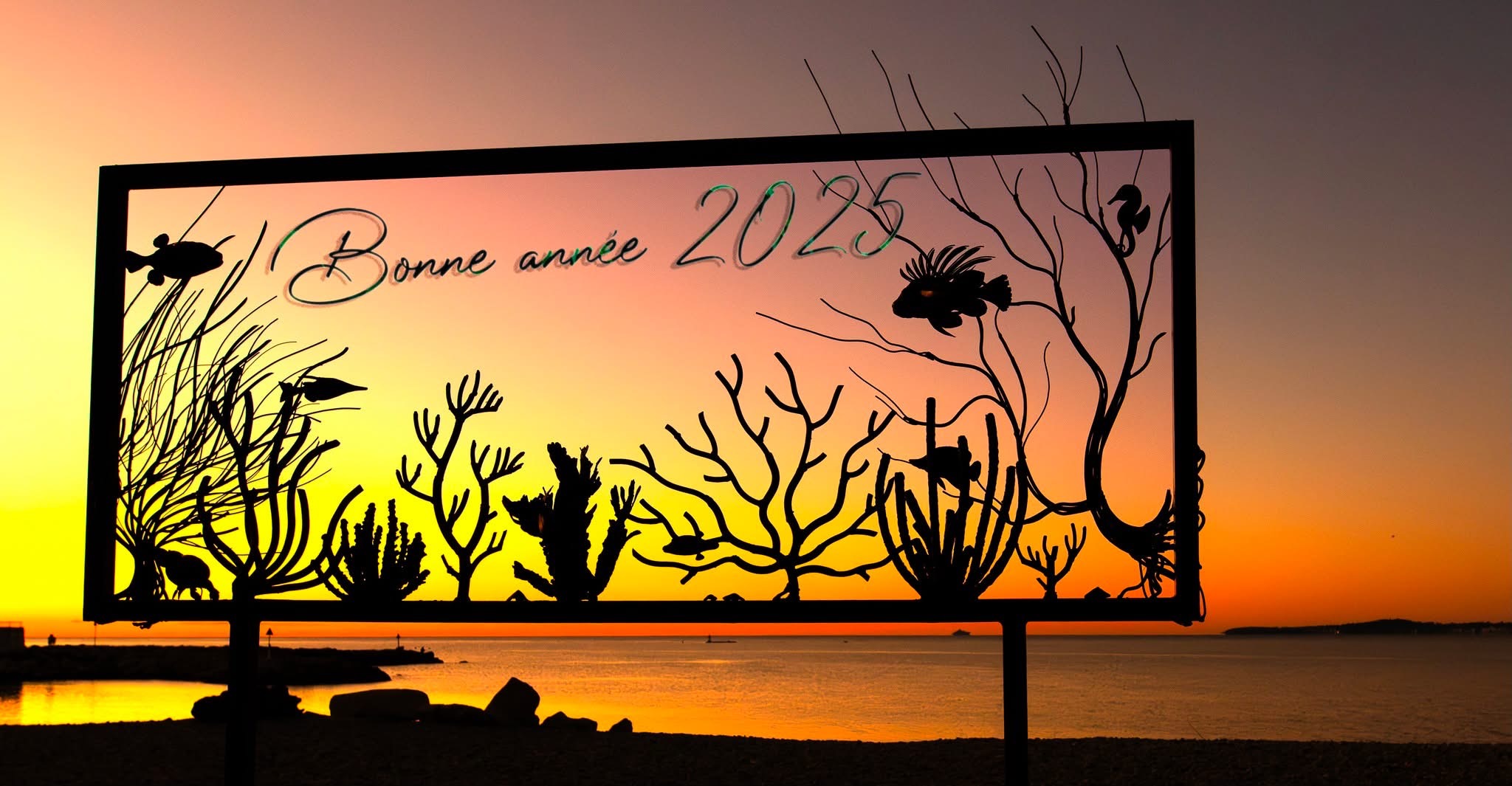 Bonne année 2025!!! photo et image cartes de voeux, lumiere, couleur