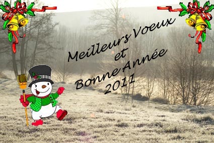 bonne année à tous