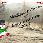 bonne année à tous