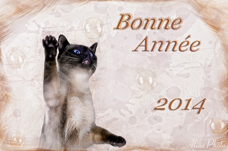 Bonne Année