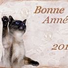 Bonne Année